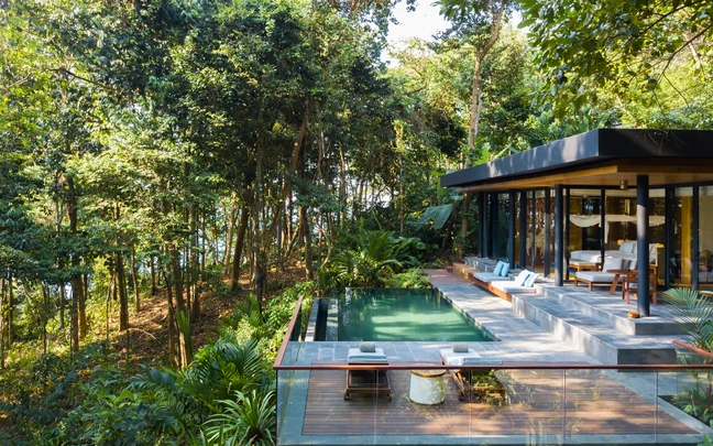 Sustainable retreat featuring floor-to-ceiling windows, outdoor pool, and accessible lounge areas surrounded by native forest and natural light.