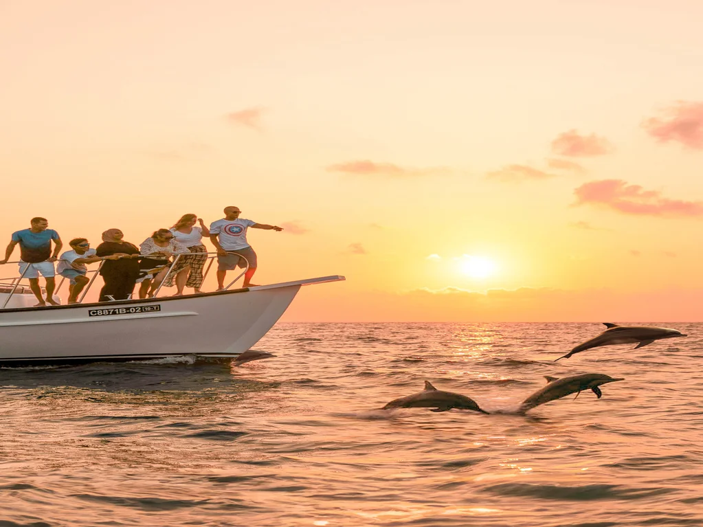 Croisière au coucher du soleil avec dauphins à bord d’un aux Maldives