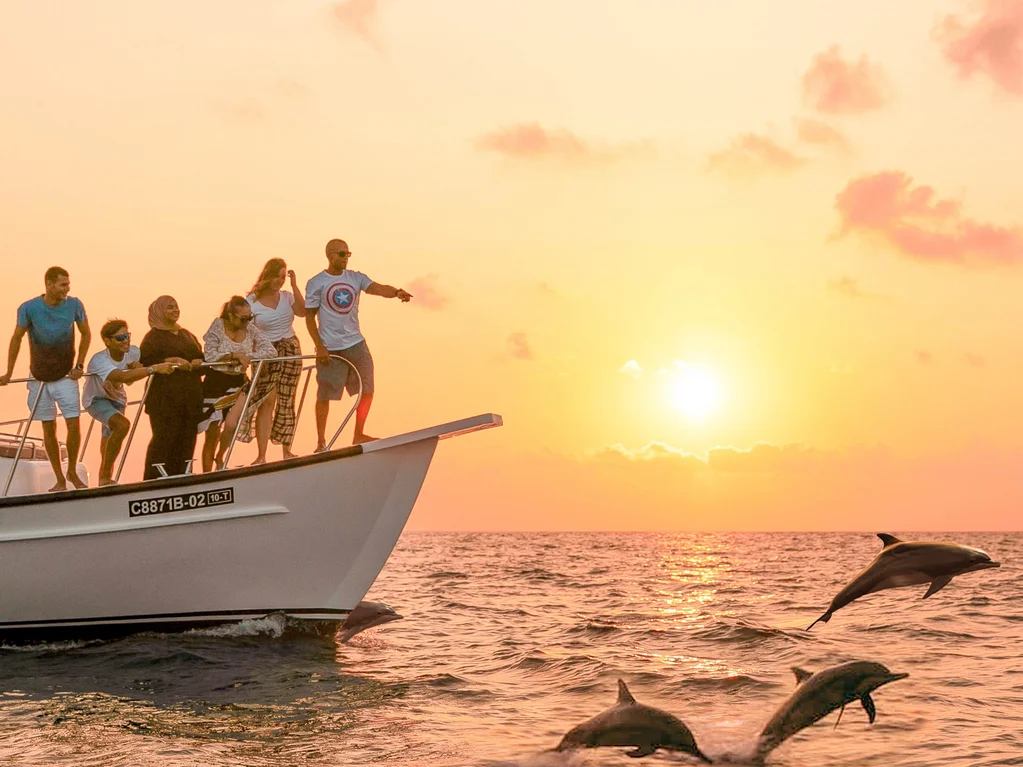 Maldives Sunset Dolphin Cruise