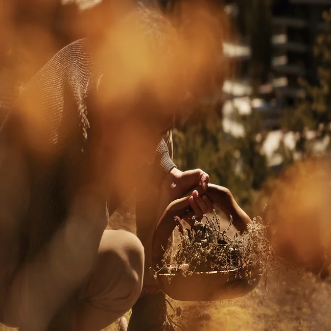 Outdoors, an individual carefully holds a wooden bowl of dried plants. Autumn leaves softly frame the scene in the foreground.