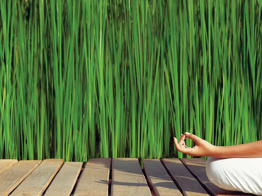 引导冥想和水疗