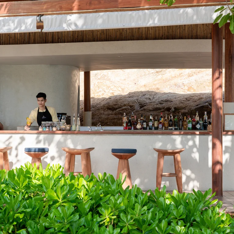 تتميز منطقة البار بمقاعد خشبية ومساحات خضراء وفيرة. يقوم النادل بإعداد المشروبات خلف منضدة مع زجاجات وكؤوس مرتبة بعناية في الأعلى.