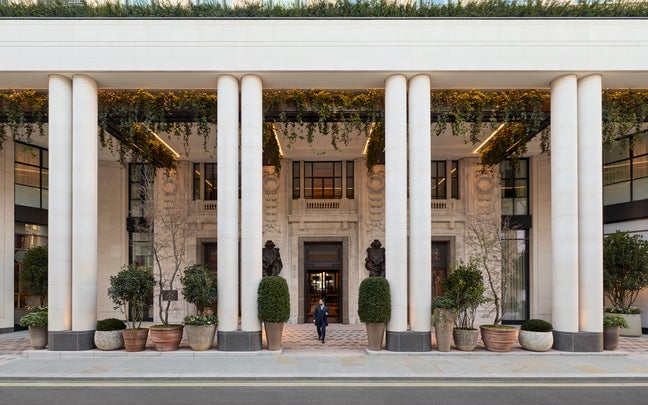 A person walks through doors framed by white columns, with potted plants and lush greenery enhancing the welcoming, nature-inspired setting.