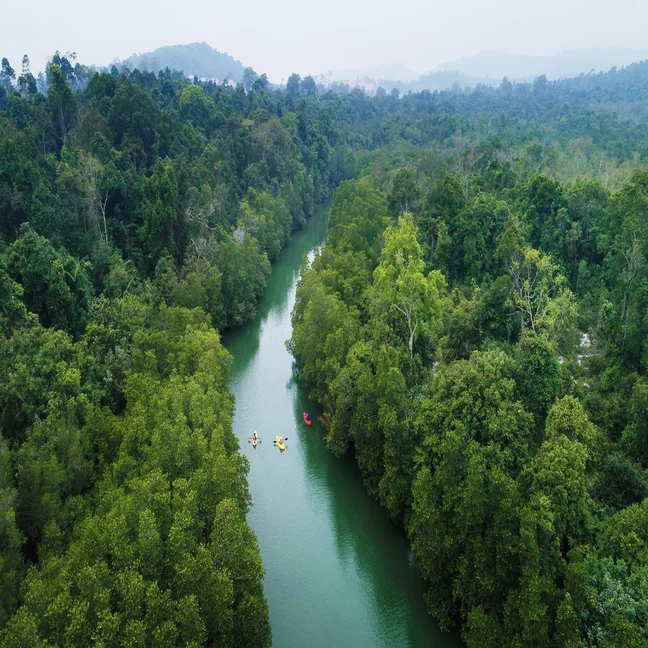 River curves through lush green forest, with kayaks gently drifting on the water, offering a tranquil experience in harmony with nature.