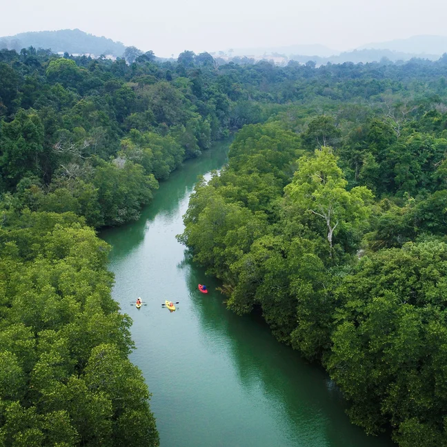 River curves through lush green forest, with kayaks gently drifting on the water, offering a tranquil experience in harmony with nature.