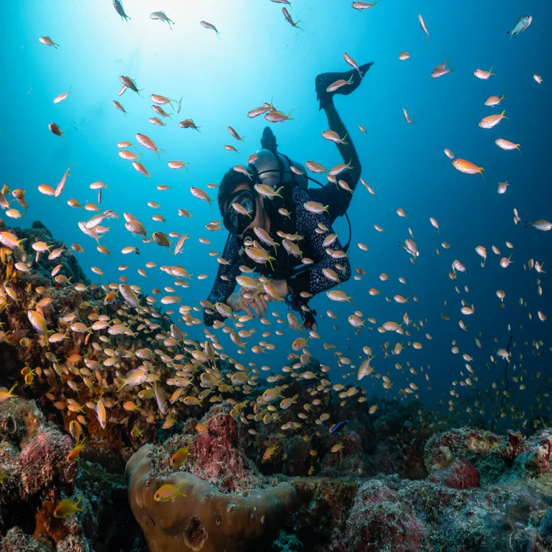 A guest explores marine life near a coral reef, observing vibrant fish against the clear blue water, highlighting ocean conservation and wellbeing.
