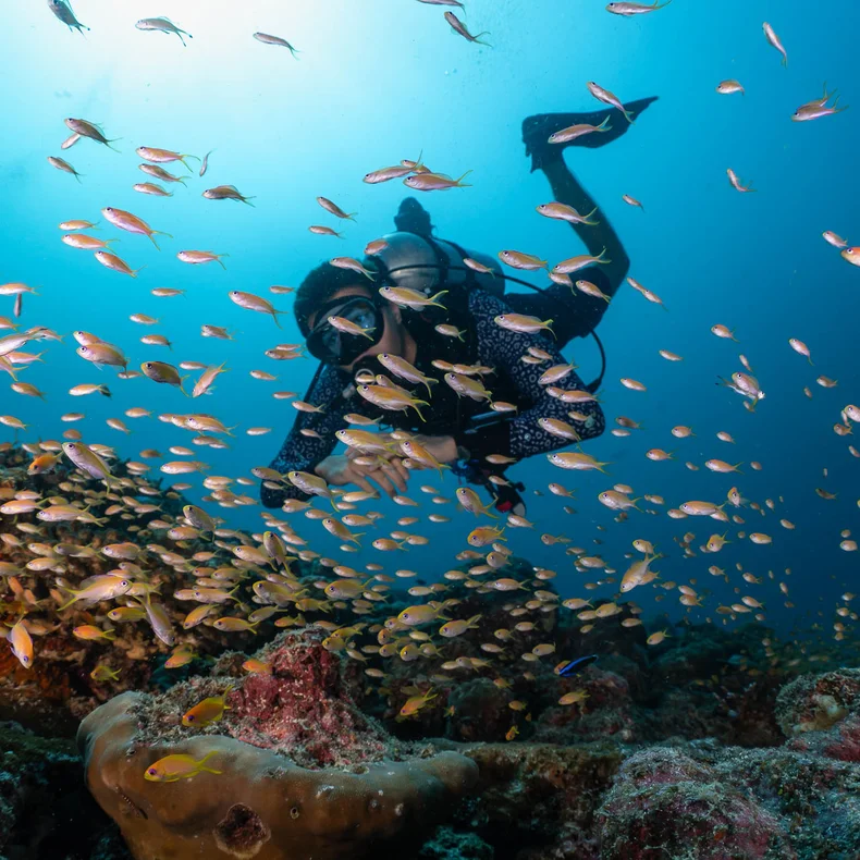 A guest explores marine life near a coral reef, observing vibrant fish against the clear blue water, highlighting ocean conservation and wellbeing.