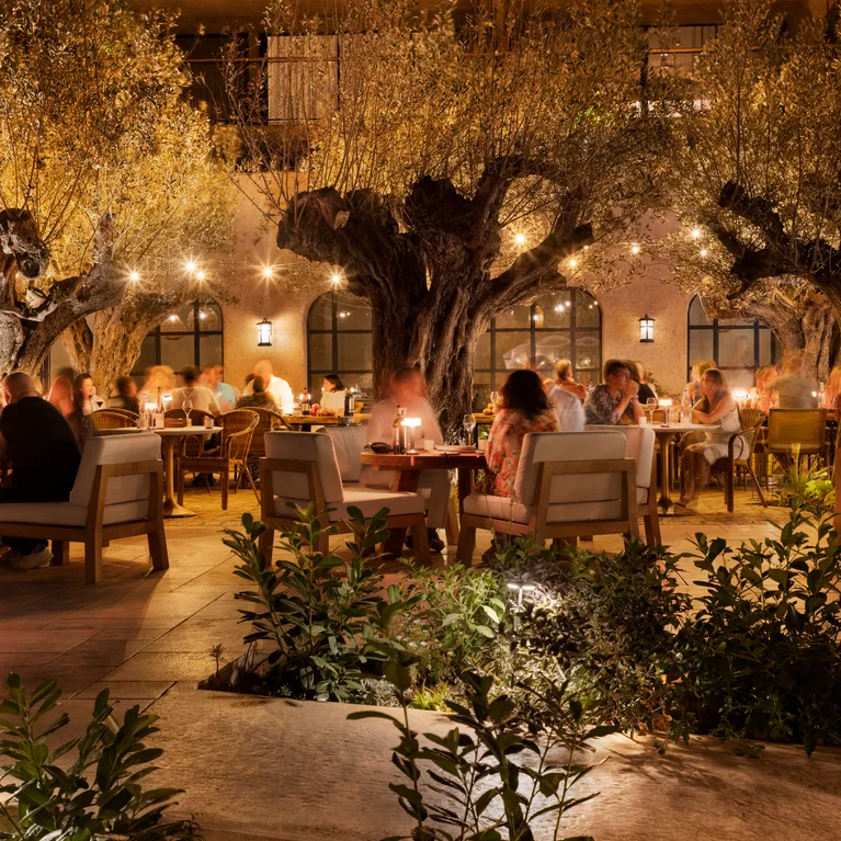 黄昏时分,宾客在树下的露天餐桌和柔和的串灯下,在宁静的花园环境中享用露天餐。.