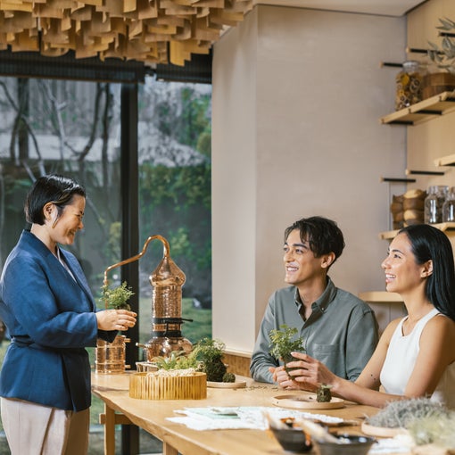 在摆放着罐子和绿色植物的阳光桌旁,一名教练指导两位客人进行草药蒸馏活动,以促进健康和可持续发展。.