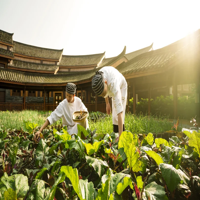 We take care of our hosts too. Eat With Six Senses has been implemented in all dining outlets, creating an internal culture of health and wellness through healthier meal choices as well as providing knowledge to support their well-being and that of their families.