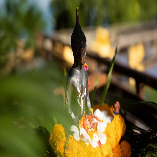 A black Buddha statue rests amid yellow and white flowers with green leaves, set against a softly blurred background.
