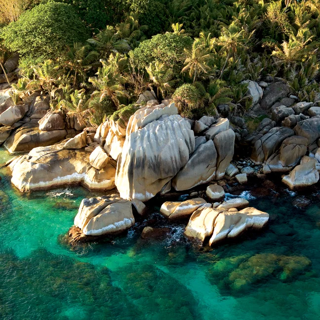 Granite rocks and vibrant palms shape a tranquil coastline, where clear turquoise water meets the greenery in a naturally serene setting.