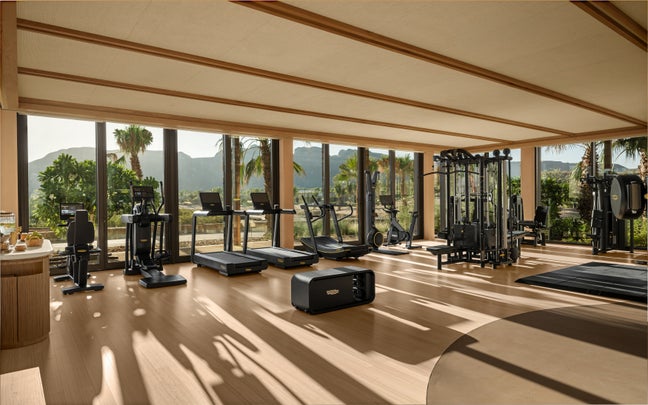 Wellness-focused fitness center featuring treadmills, ellipticals, strength equipment, and views of palm trees and distant mountains through large sunlit windows.