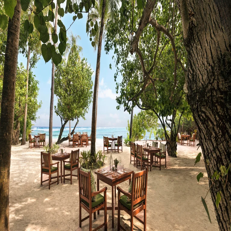 طاولات طعام وكراسي خشبية مصفوفة على أرض رملية تحت مظلة خضراء تطل على المحيط مع مياه زرقاء وسماء زرقاء تظهر من بعيد.