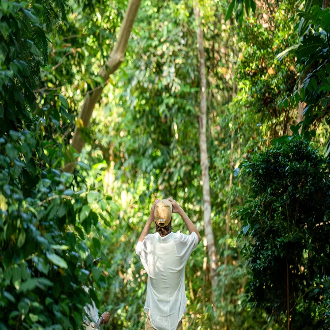 Guest in a white shirt and yellow cap gazes upward, surrounded by vibrant green forest, highlighting connection to nature and mindful exploration.