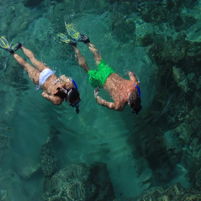 Snorkelers with fins glide through clear turquoise water above a rocky seabed.