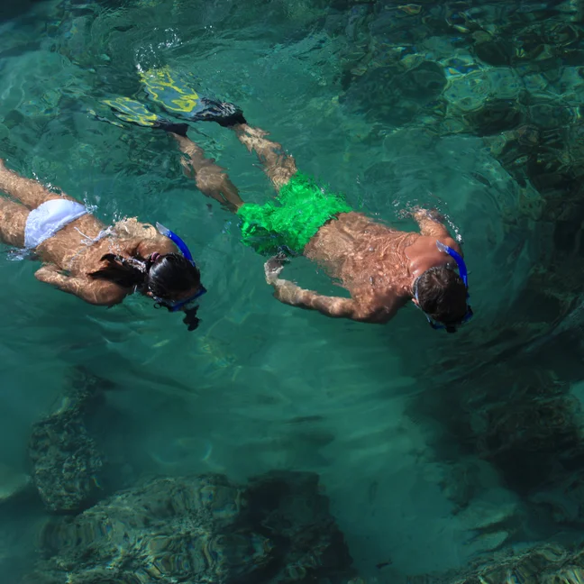 Snorkelers with fins glide through clear turquoise water above a rocky seabed.