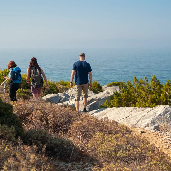 Guests walk along a natural coastal path bordered by rocks and native shrubs, overlooking the tranquil sea on a clear day.