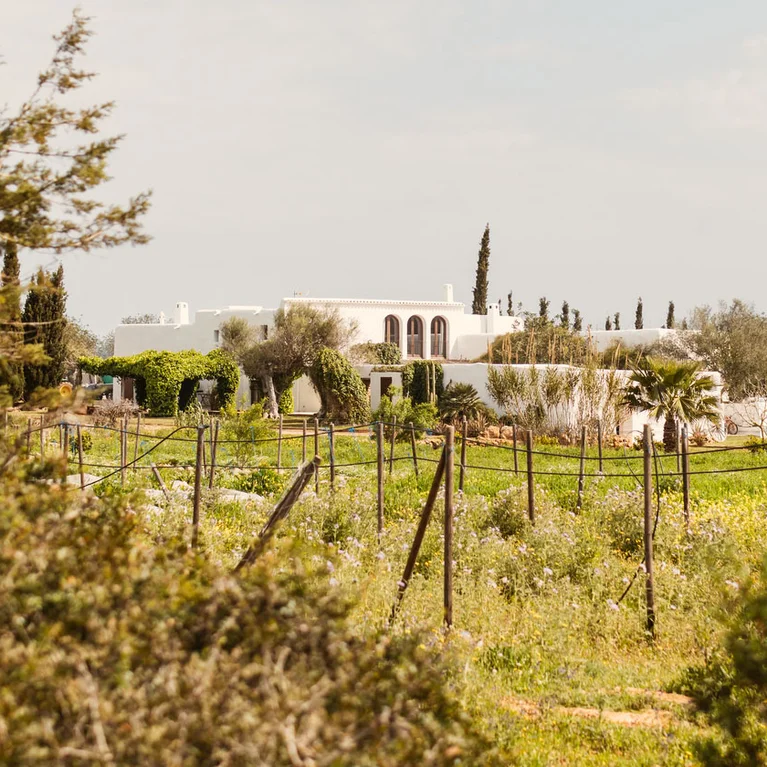 在云朵散落的天空下,一栋带拱形窗户的别墅矗立在绿野、野花和树木之中。.