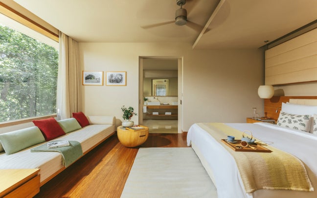 Forest Suite
