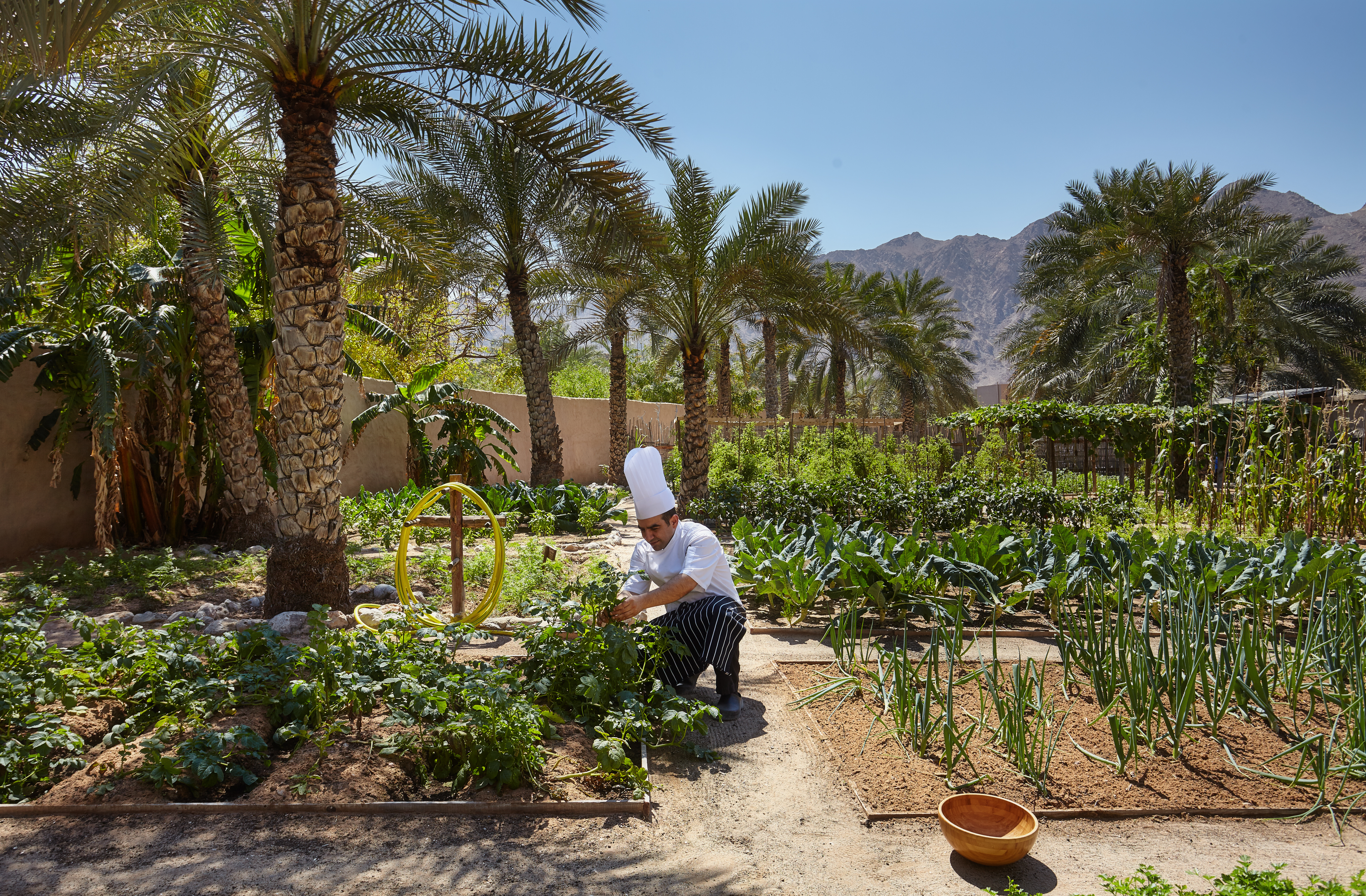 Organic Garden with Chef