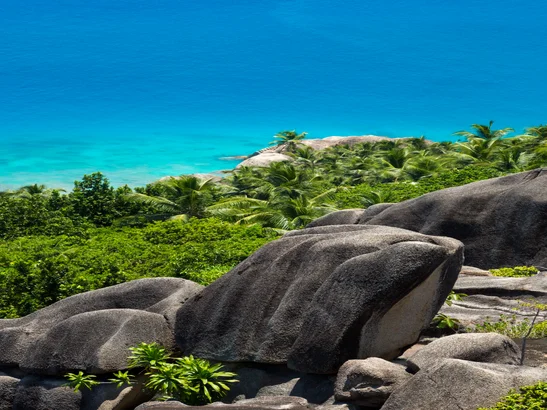 Explore Aride Island