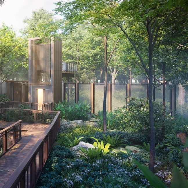A walkway leads to an elevated viewing platform amid green trees and foliage, designed with sustainability in mind for a peaceful forest experience.
