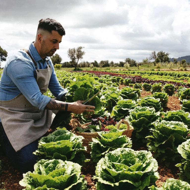تحت سماء ملبدة بالغيوم، يجثو بستاني على ركبتيه في حقل، ويقطف بعناية بعض الخس الطازج ويضعه في سلة. ....