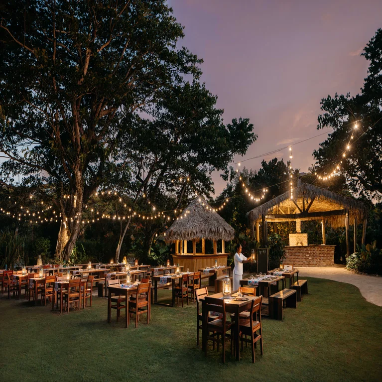 Sustainable bar under a wooden roof and brick counter, softly illuminated at dusk. Surrounded by greenery, team member present behind the counter.