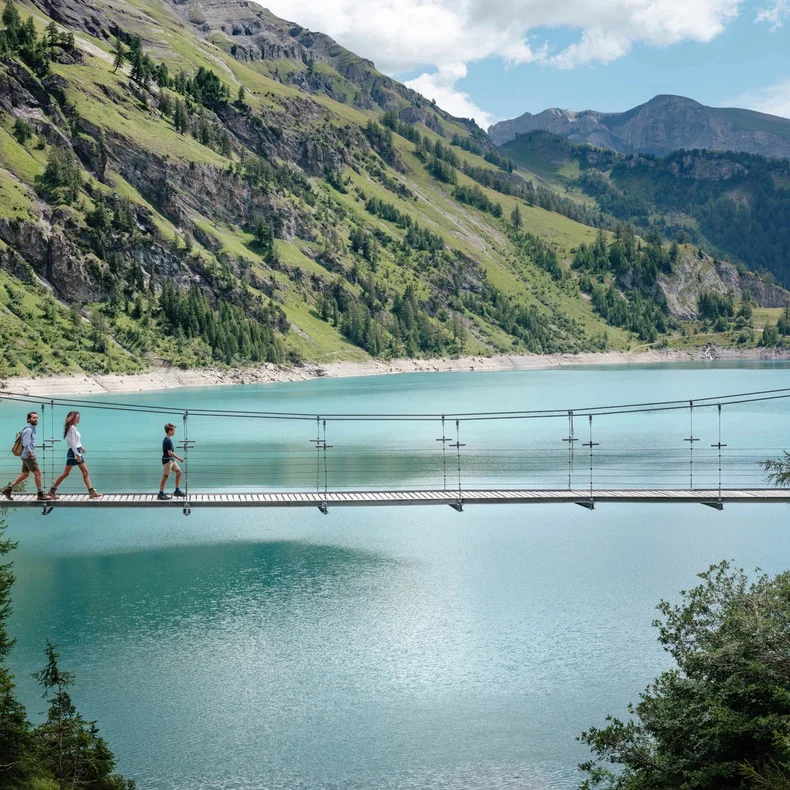 在欧洲的心脏地带