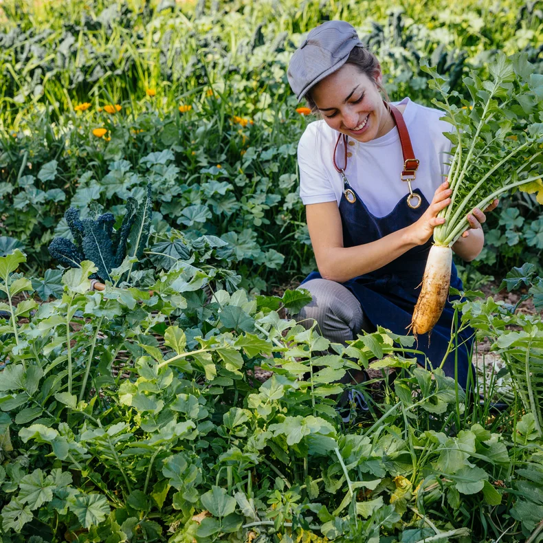 חבר צוות חובש כובע וסינר קוטף צנון לבן גדול מגינה שופעת, המשקפת ערכים של בריאות וקיימות.