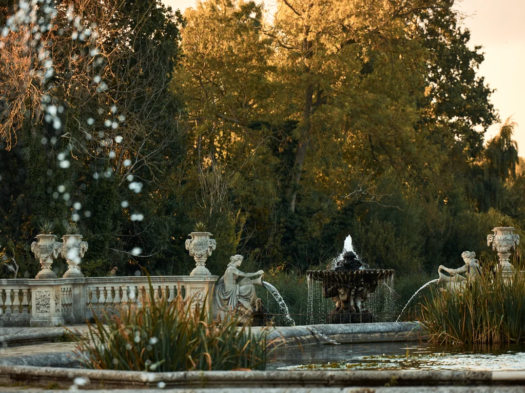 Leaves, Litter and Local Love