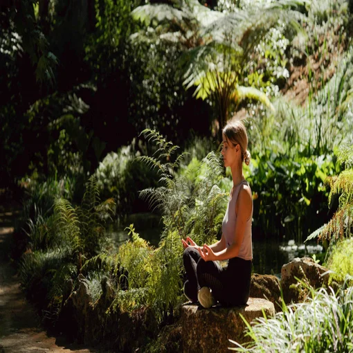 The Art of Intentional Transformation Retreat with Barb Schmidt