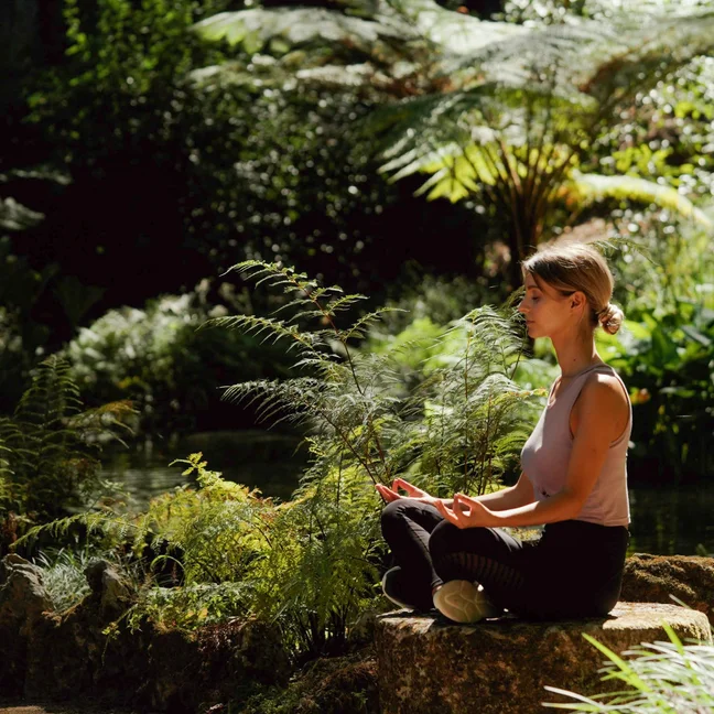 The Art of Intentional Transformation Retreat with Barb Schmidt