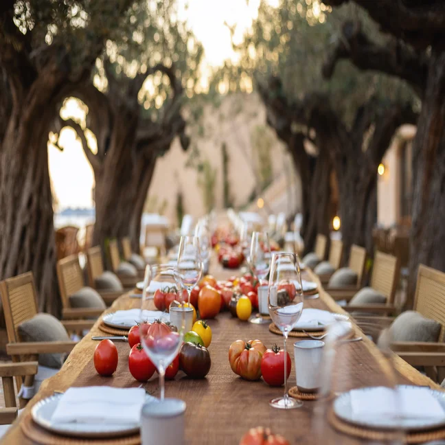 An outdoor dining table beneath shade trees is arranged with plates, glasses, and colorful tomatoes. Wooden chairs are placed along both sides of the table.