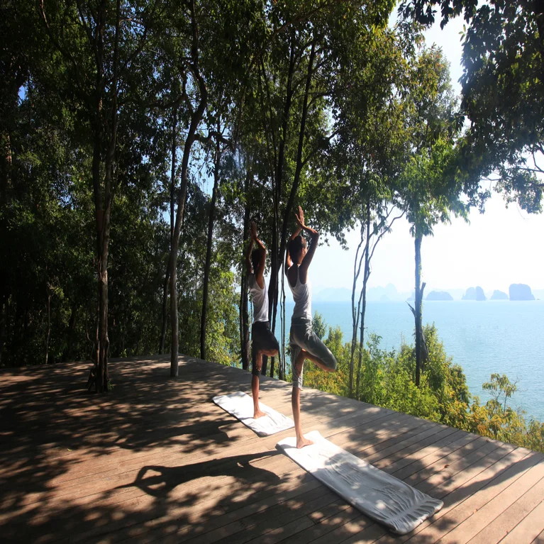 Guests hold tree pose on yoga mats atop a wooden deck, framed by trees with views of water and mountains in the distance.