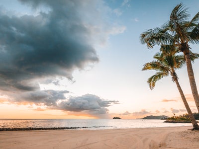 細い木々、柔らかい砂、海の波、穏やかな雲、水平線に浮かぶ小さな島々。.