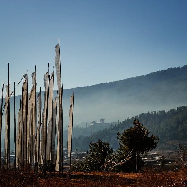 在明亮的蓝天下,白色的祈祷旗从草地上升起,背景是森林覆盖的山坡和远处的山脉。.