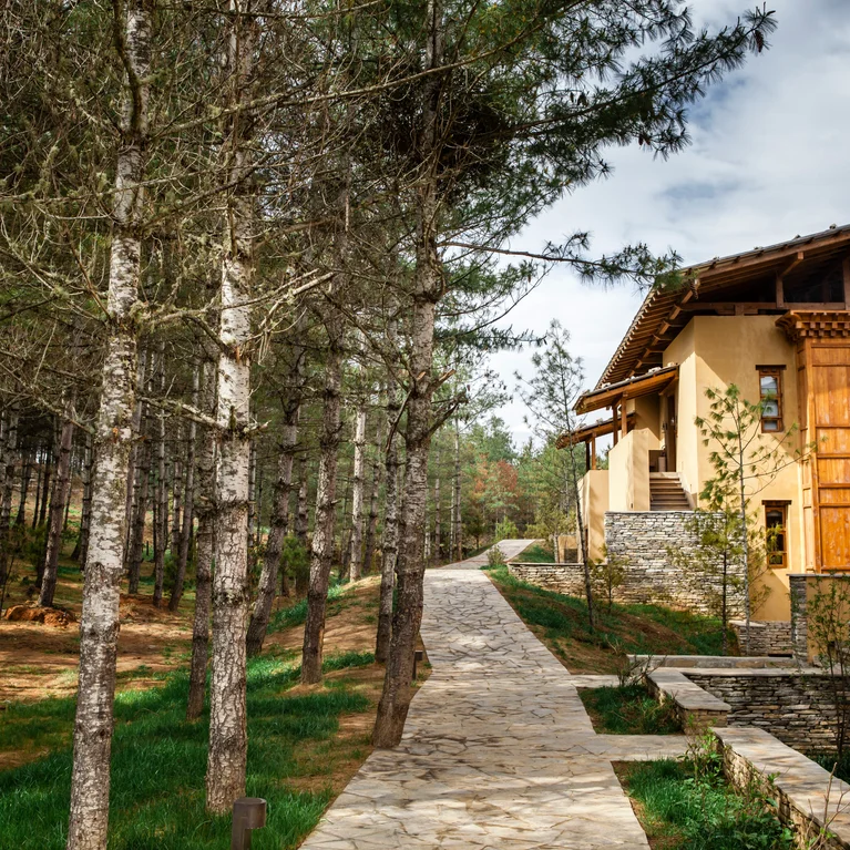A pathway weaves through tall pine trees to a beige house with large wooden-framed windows and a stone wall, beneath a sky scattered with clouds.